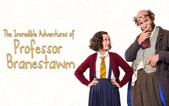 The Incredible Adventures of Professor Branestawm