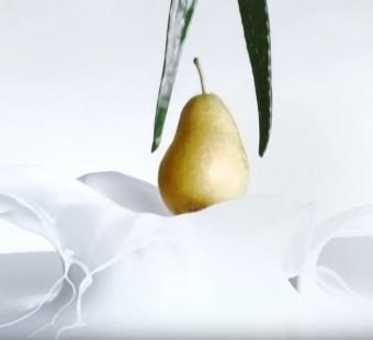 Fresh Pear & Aloe Vera