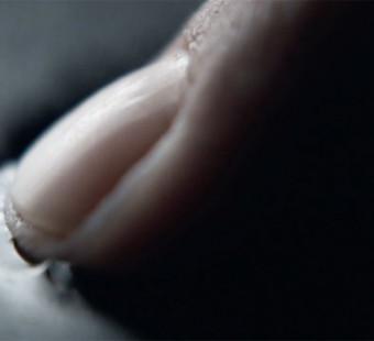 Fingerprint