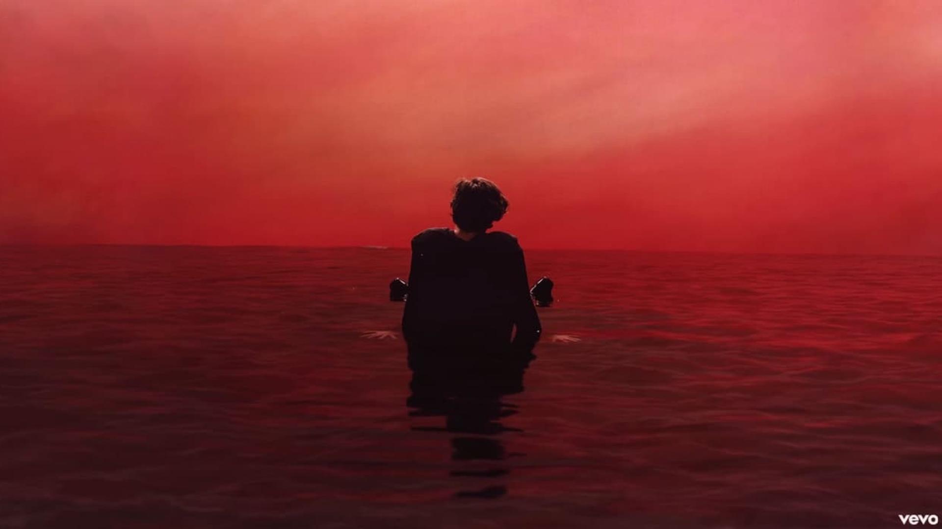 Harry Styles Album Promo