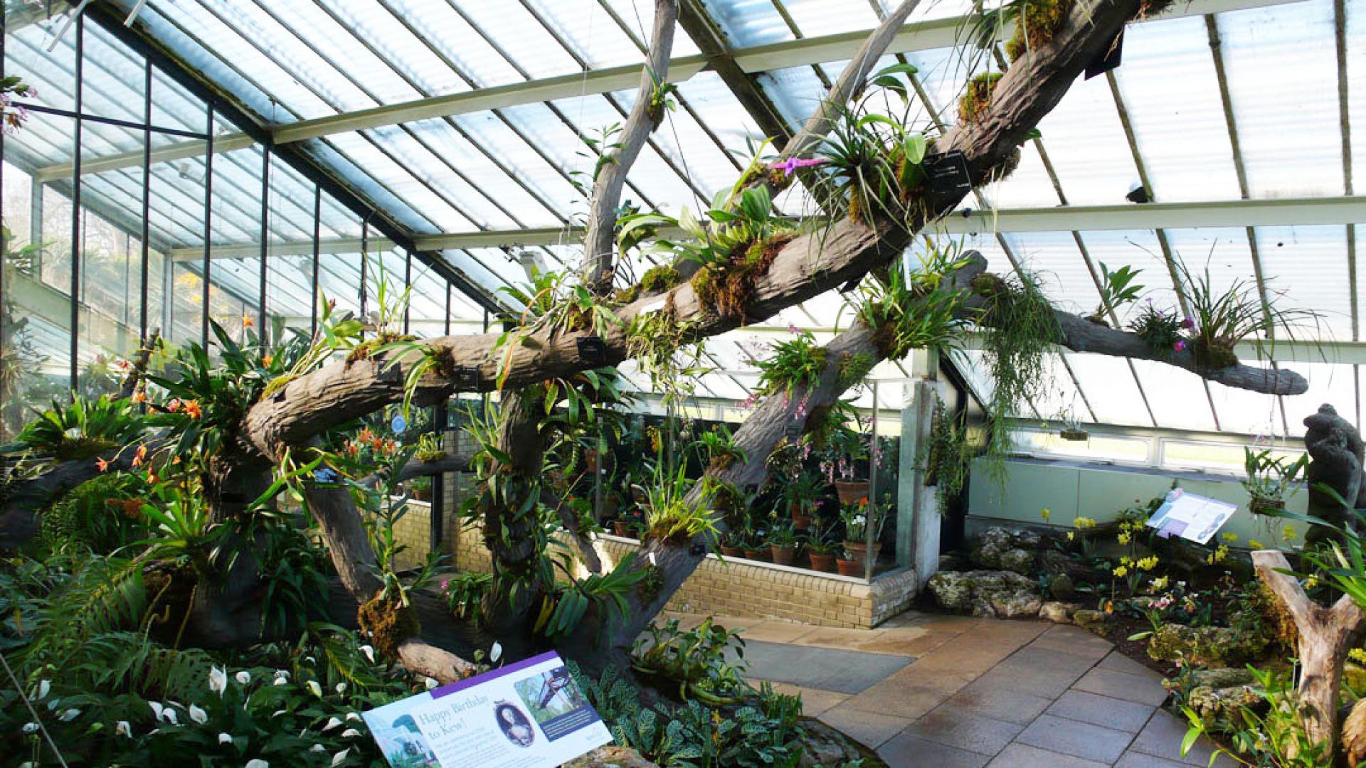 Kew Gardens