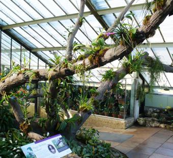 Kew Gardens