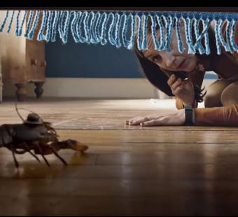 More for you - Lobster