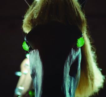 Horse Bot / Commentator Colllar